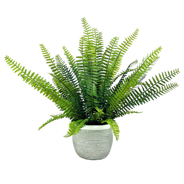 Primrue 21'' Faux Fern Plant in Ceramic Pot Wayfair